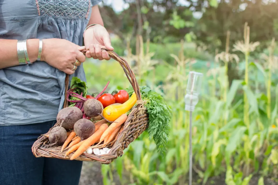 La sicurezza alimentare è una priorità dell'UE e coinvolge la terra, gli uomini e gli animali in un'ottica One Health.