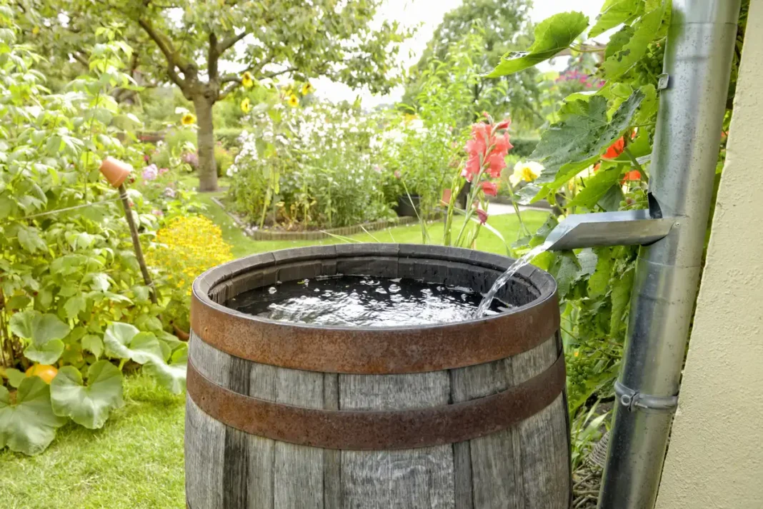 L'acqua piovana può trasformarsi da minaccia in risorsa preziosa per le città grazie a sistemi di raccolta efficienti.