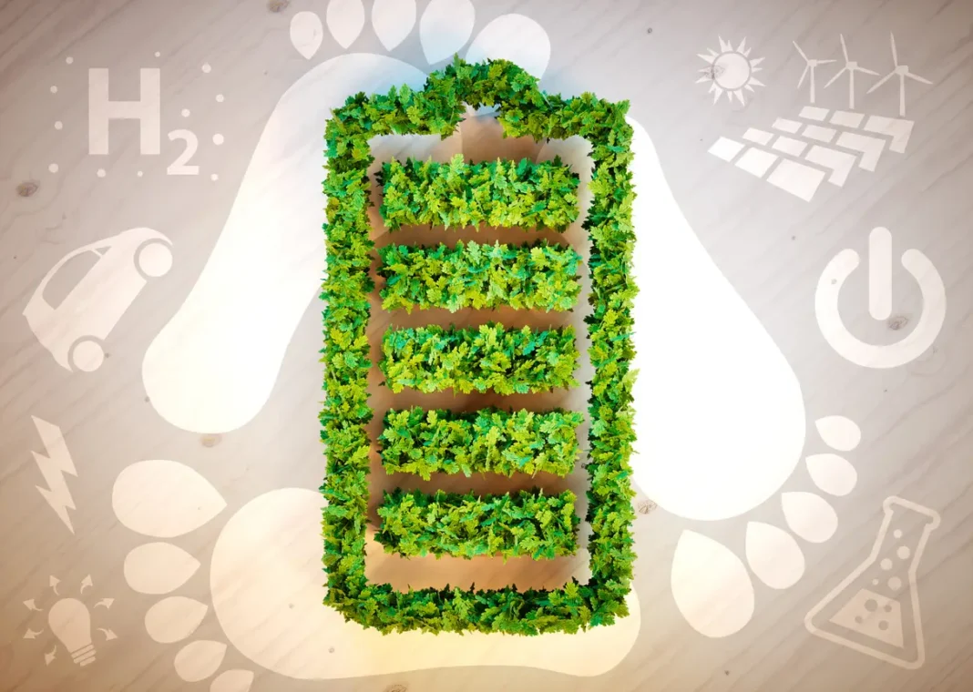 Riciclare le batterie auto non è più un problema grazie a un acido organico contenuto nei vegetali.