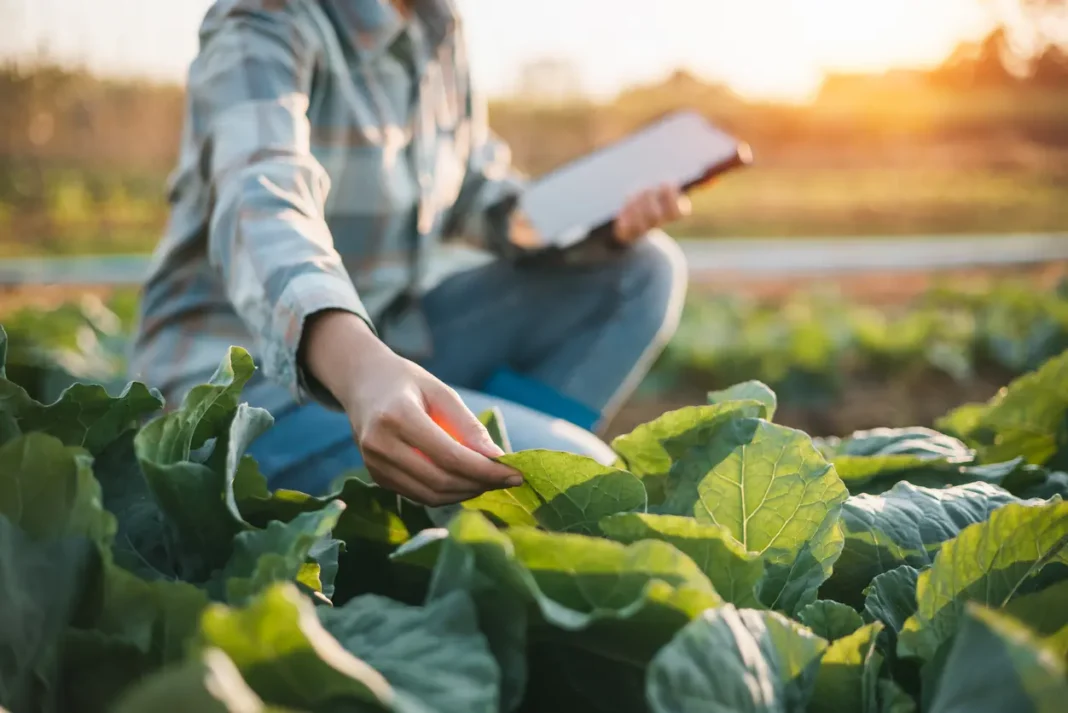 L’agricoltura può trainare la società nella transizione ecologica ed energetica, ma solo se sostenibile e attenta alla biodiversità.